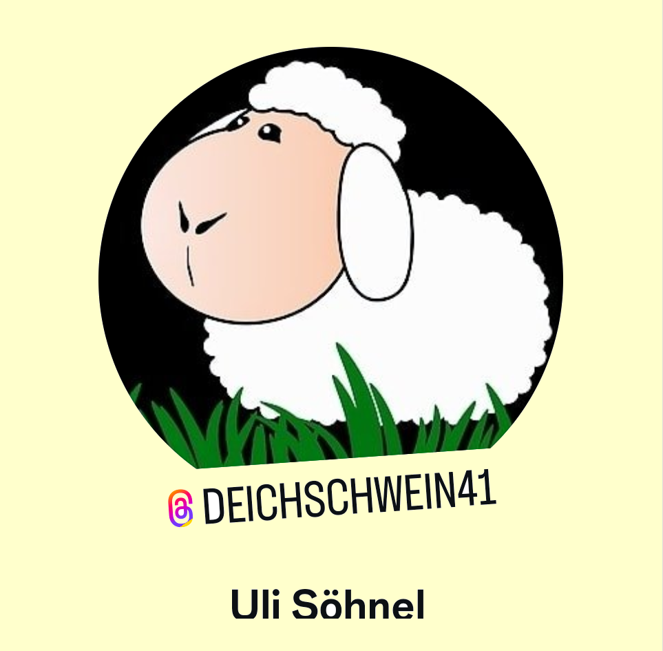 deichschwein41