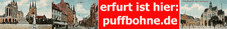 logo www.puffbohne.de
